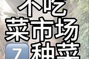 开云app官方版最新截图3